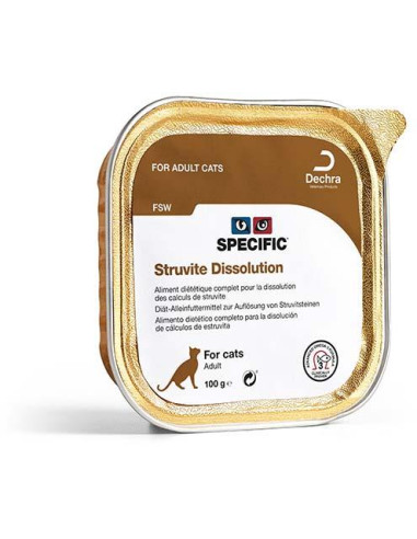 FSW Struvite Dissolution 100 g