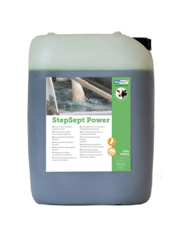 STEPSEPT POWER 27Kg